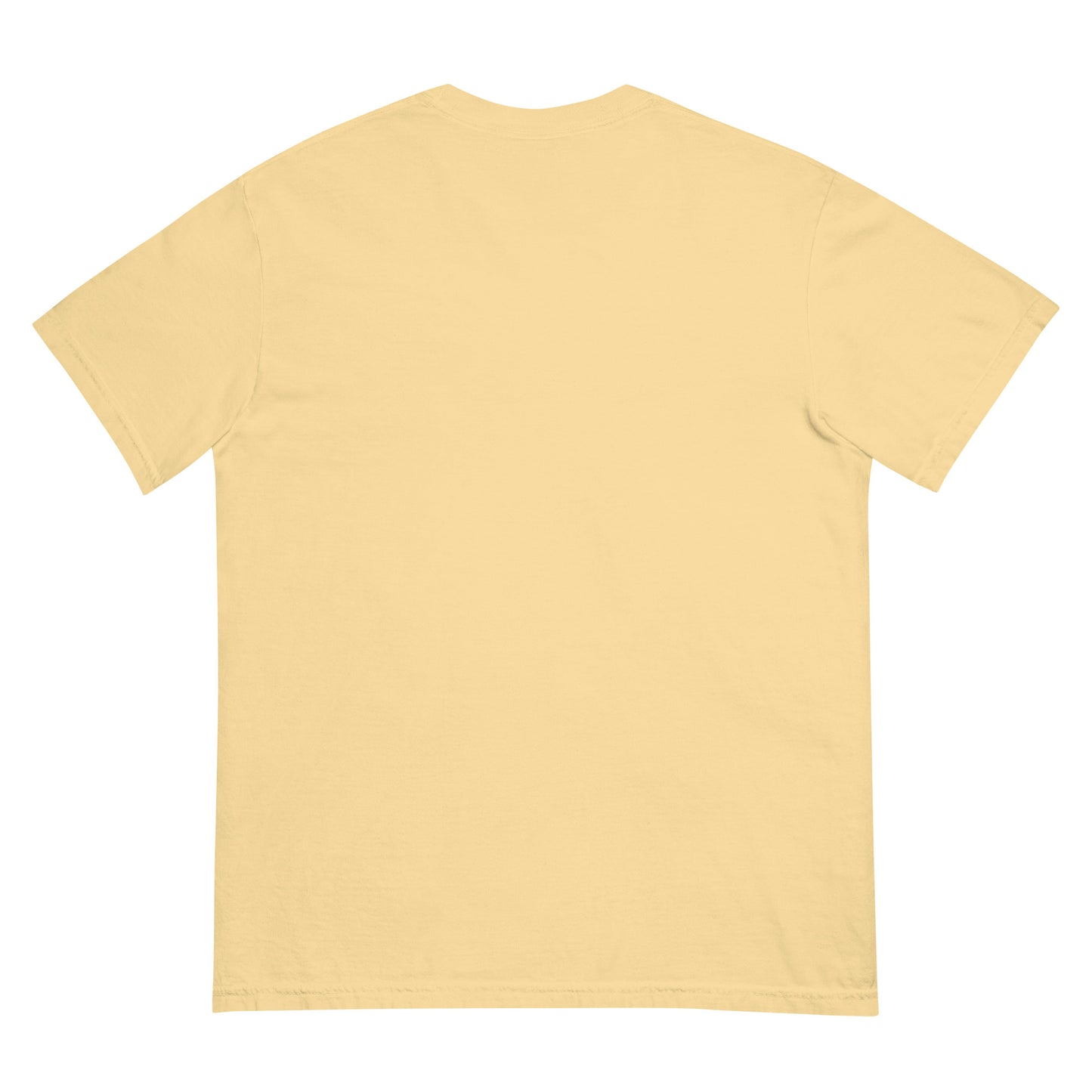 Unisex dyed heavyweight t-shirt