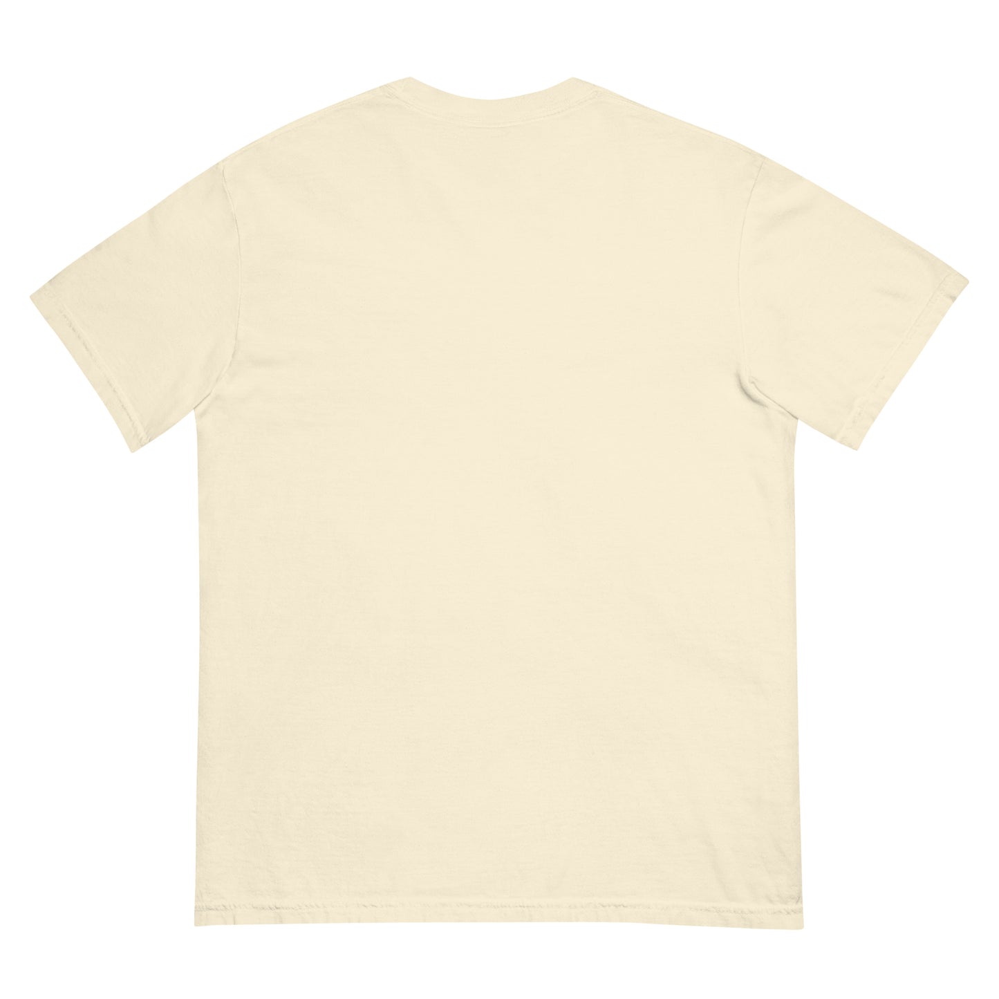 Unisex dyed heavyweight t-shirt