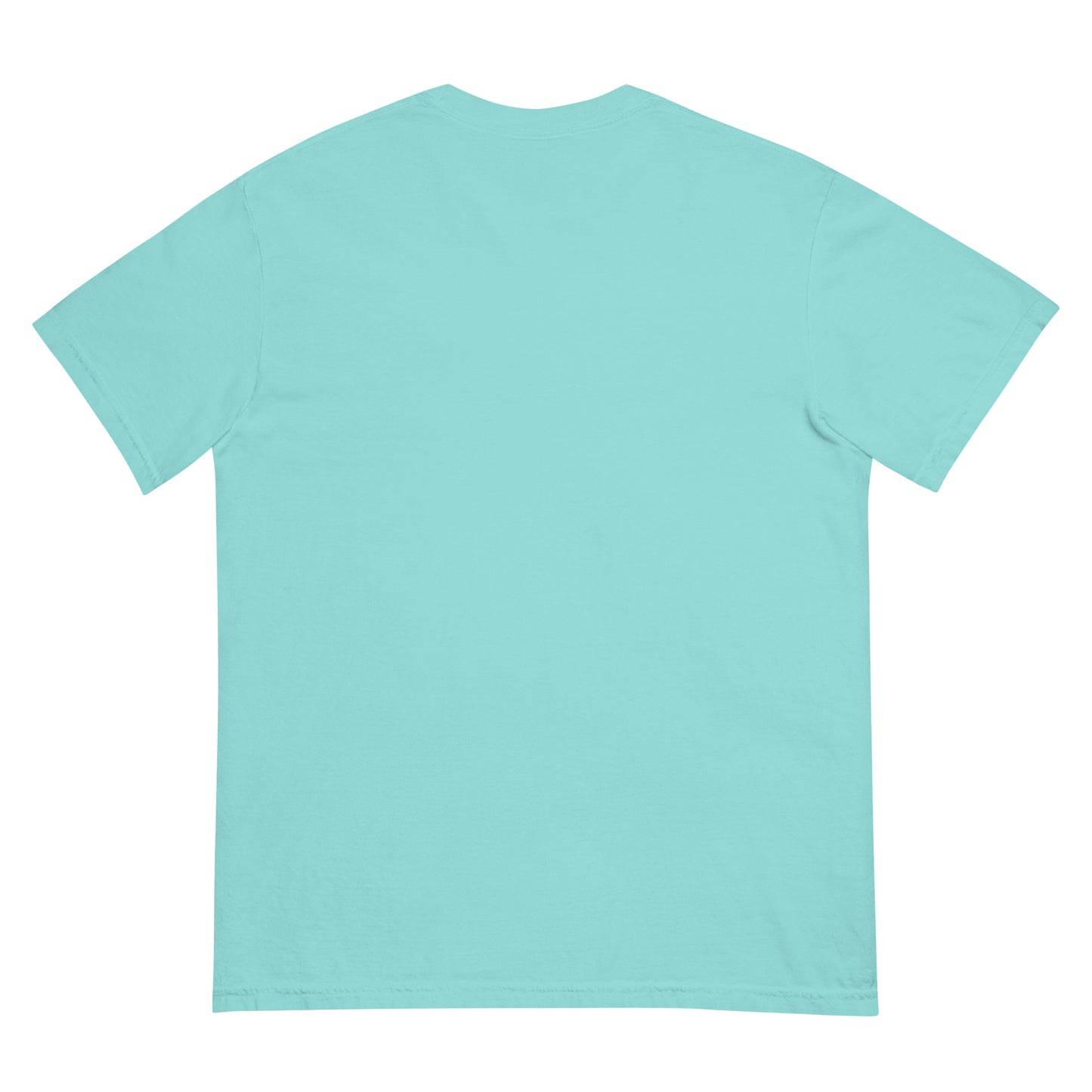 Unisex dyed heavyweight t-shirt